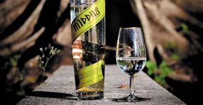 Conheça a cachaça brasileira que leva ouro comestível na fórmula