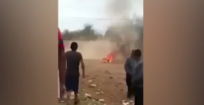 Vídeo mostra jovens torturando cachorro com explosivos no México