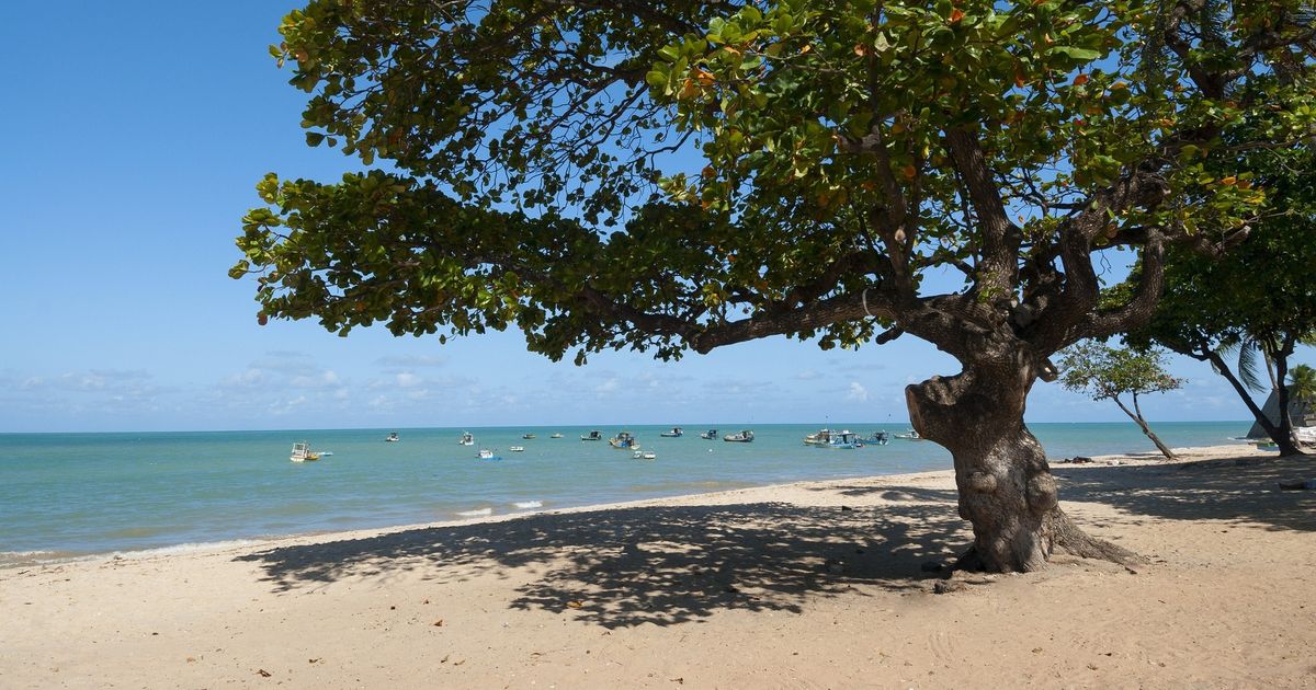 João Pessoa: 3 praias imperdíveis para colocar no seu roteiro