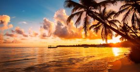 Foto: (valio84sl/iStock)