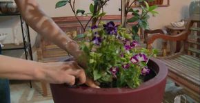 Programe sua semana em clima de primavera
