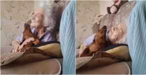 Encontro entre avó com alzheimer e cachorro emociona internautas
