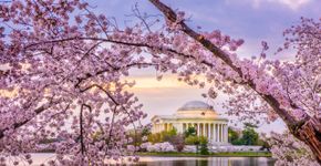 Foto: (Divulgação/Destination DC/iStock)