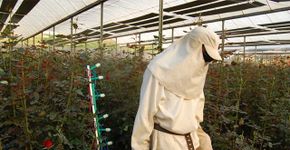 Nova tecnologia reduz quantidade de agrotóxicos nas plantações