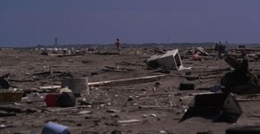 2ª Mostra Ecofalante exibe filmes com temática ambiental