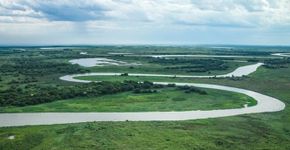 Pantanal: fogo ameaça biodiversidade da Estação Ecológica de Taiamã