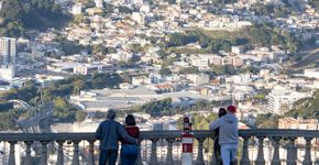 Foto: (Tharlys Fabricio/iStock)