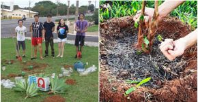 Jovens se mobilizam para transformar áreas degradadas em jardins