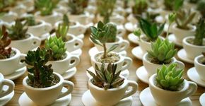 Ideias para uma decoração de casamento sustentável e barata