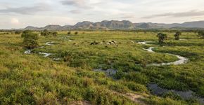 Pastagens: os aliados ignorados que a América Latina busca resgatar contra a seca e a desertificação na COP17