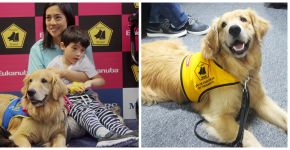 Crianças brasileiras com deficiência recebem cães de assistência