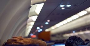 Foto: (Samuel Azambuja Kochhan/iStock)