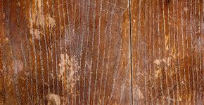 Dente de alho é o segredo para tirar riscos de móveis de madeira