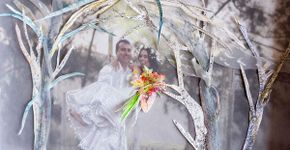 Casamento de ilustração com fotografia revela inovação