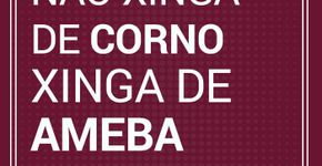 Da próxima vez que for xingar alguém, #xingacerto!