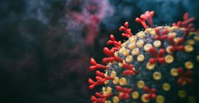 Foto: (koto_feja/istock)