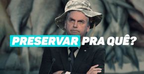 Governo Bolsonaro libera pesca em áreas de conservação ambiental