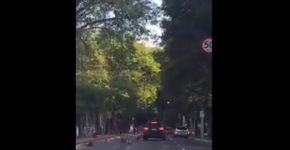 Vídeo mostra motorista derrubando cones de ciclofaixa em SP