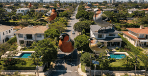 Não é Jardim: o bairro paulistano planejado que tem ruas com nomes de aves e é muito verde