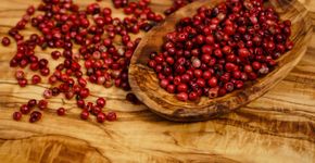 Foto: (iStock/ Andreas Steidlinger)