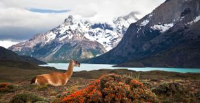 Foto: (iStock)