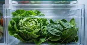 Feche a saída de ar da gaveta antes de guardar folhas, brócolis e verduras: manter mais umidade nesse compartimento reduz a perda de água e ajuda os vegetais a não murcharem tão rapidamente
