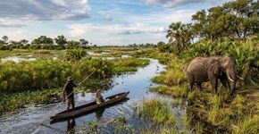 Expedição atravessa um dos últimos paraísos selvagens da África para revelar os segredos do Delta do Okavango