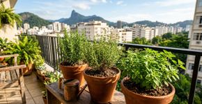 5 ervas que prosperam mesmo quando você quase esquece delas e rendem muito com poucos cuidados