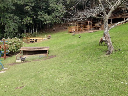 Campos do Jordão Fazendinha Toriba