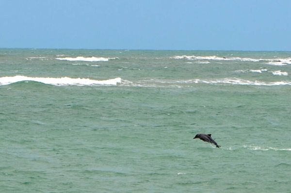 Baía dos Golfinhos, em Tibau do Sul (RN)