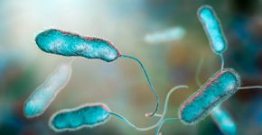 Foto: (Dr_Microbe/istock)