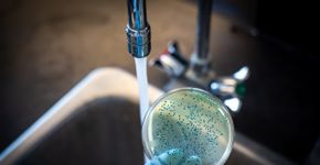 Foto: (Manjurul/istock)