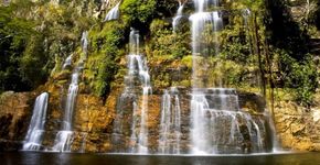 Foto: (Martinelli73/iStock)