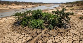 O novo paradigma de seca no Rio Colorado revela que a vegetação consome água subterrânea quando está mais quente, o que pode deixar menos fluxo para milhões de pessoas