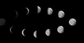Foto: (Becart/istock)