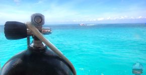 Saiba quanto levar de dinheiro na sua viagem para Cozumel