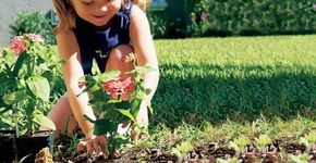 Famílias e escolas adotam a jardinagem como forma de sustentabilidade e educação