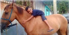 Ladrão se arrepende e devolve cavalo furtado a criança doente