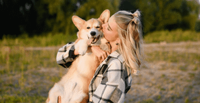 Encostar o focinho na mão e colocar a pata sobre o tutor: veja 6 sinais de que o cachorro quer carinho