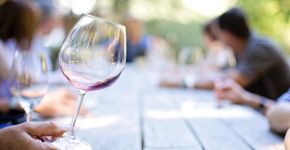7 vinhos incríveis que todo amante da bebida deve conhecer