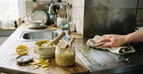 Liquidificar casca de limão e sal grosso: Uma mistura poderosa que pode ter uma enorme função para a cozinha e a limpeza