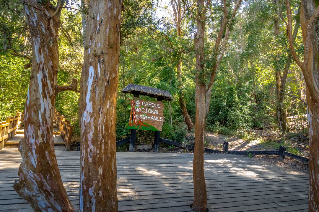 Parque Nacional de Arrayanes fica em Villa La Angostura, na Patagônia argentina