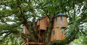 Em Harmonia com a natureza: empresa desenvolve casas na árvore no meio da floresta