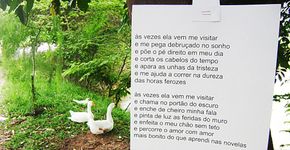 Curitiba leva poesia ao Passeio Público para celebrar Dia da Árvore