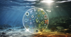 O destino cruel daquele conhecido como o dono dos sete mares que carrega uma falha no DNA e agora começa a inchar no fundo do oceano