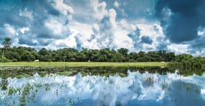 Foto: (iStock)