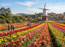Featured side: A cidade mais florida do Brasil encanta com 300 hectares de plantações e nasceu como colônia holandesa no século XX