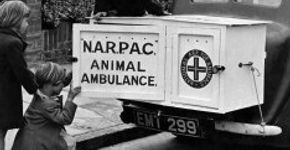 Conheça a mulher que ajudou a salvar 250 mil animais na Segunda Guerra Mundial
