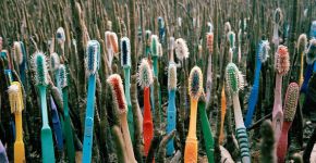 Série de fotos mostra os efeitos do lixo na natureza