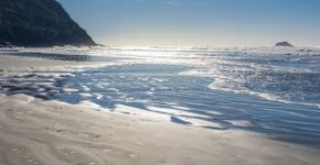 Foto: (Istock)